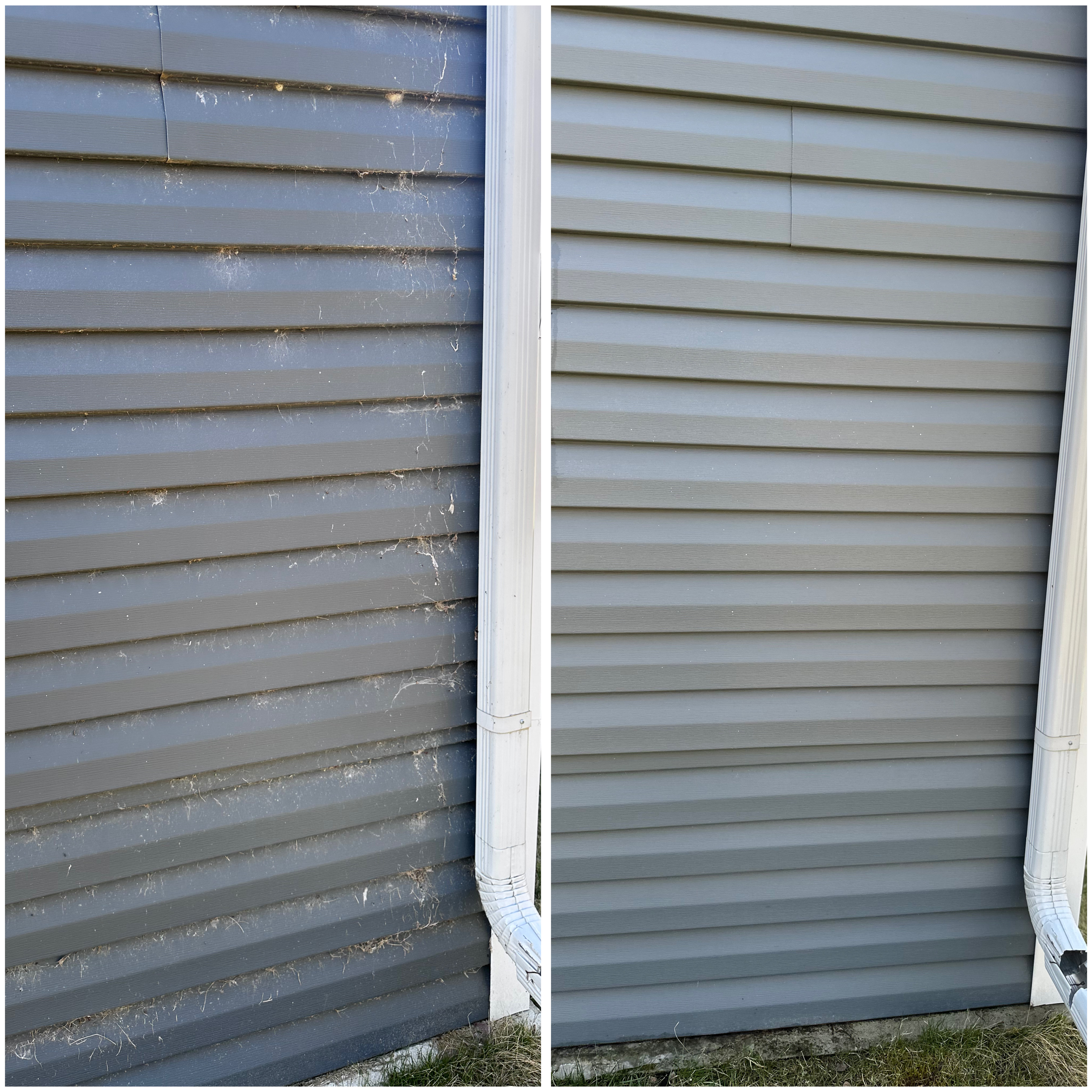 Siding Cleaning